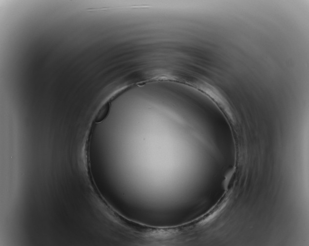 X0000088410806200705291448