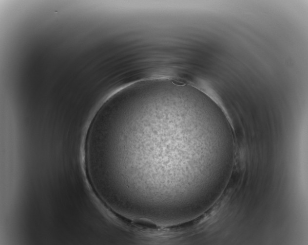 X0000088410811200705291448