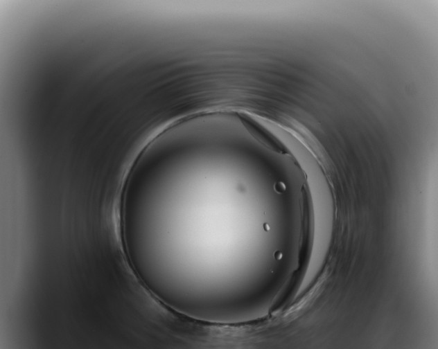 X0000088410812200705291448