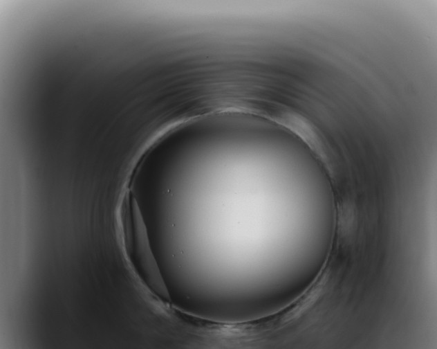 X0000088410814200705291448