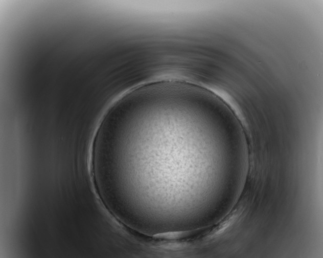 X0000088410815200705291448