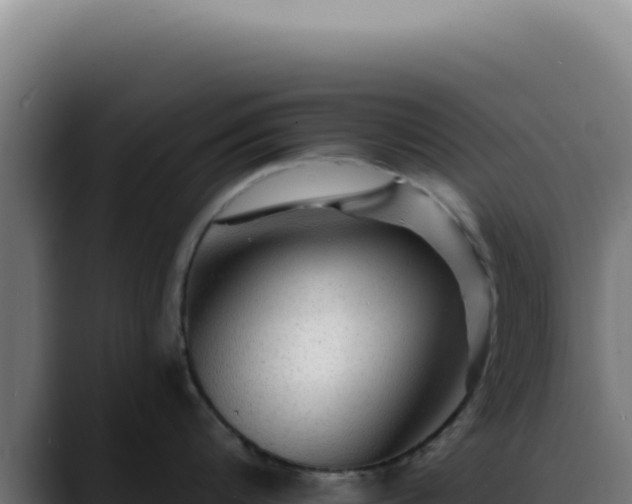 X0000088410816200705291448