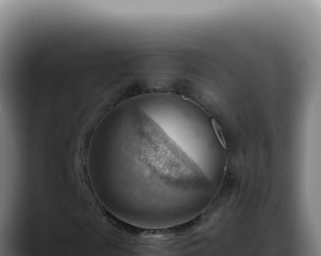 X0000088410817200705291447