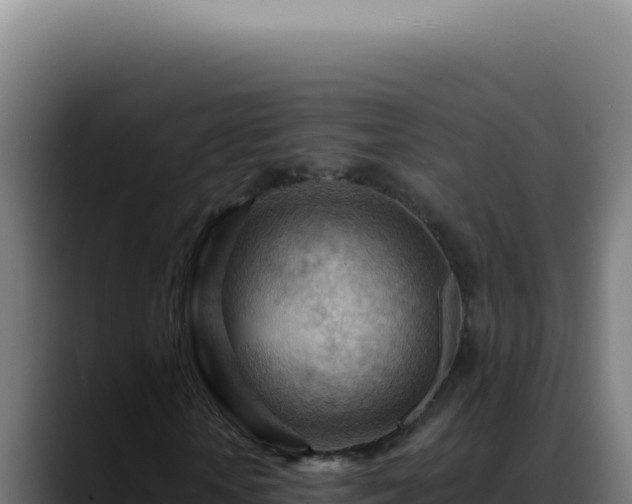 X0000088410818200705291447