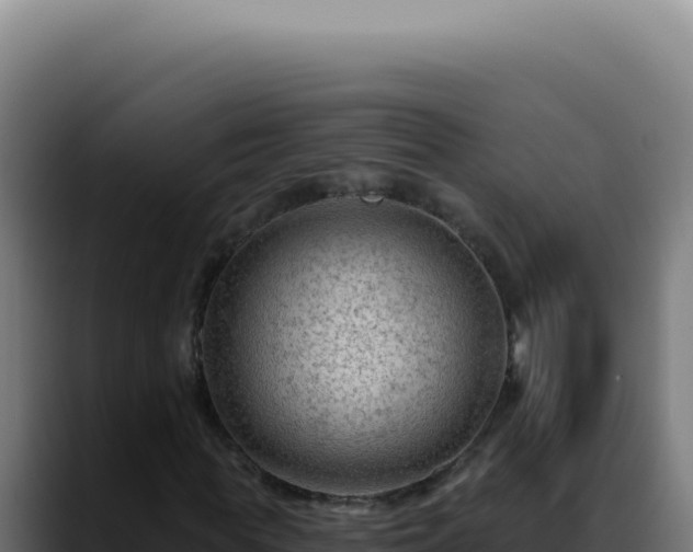 X0000088410819200705291447