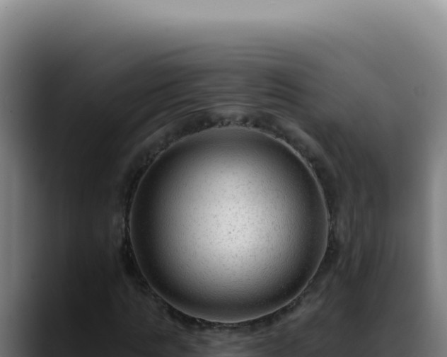 X0000088410821200705291447