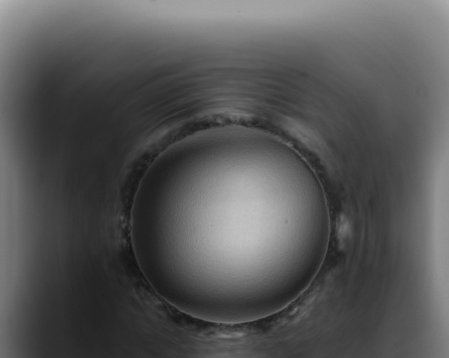 X0000088410822200705291447