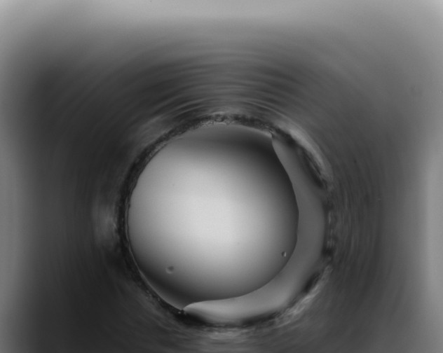 X0000088410826200705291447