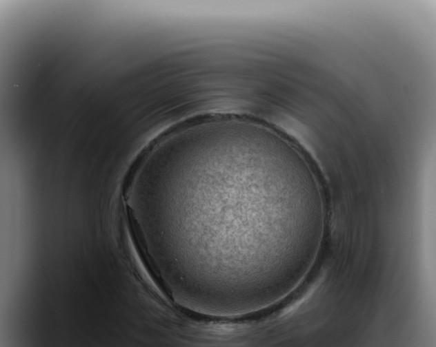 X0000088410829200705291447