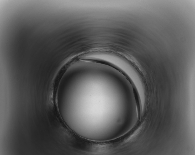 X0000088410830200705291447