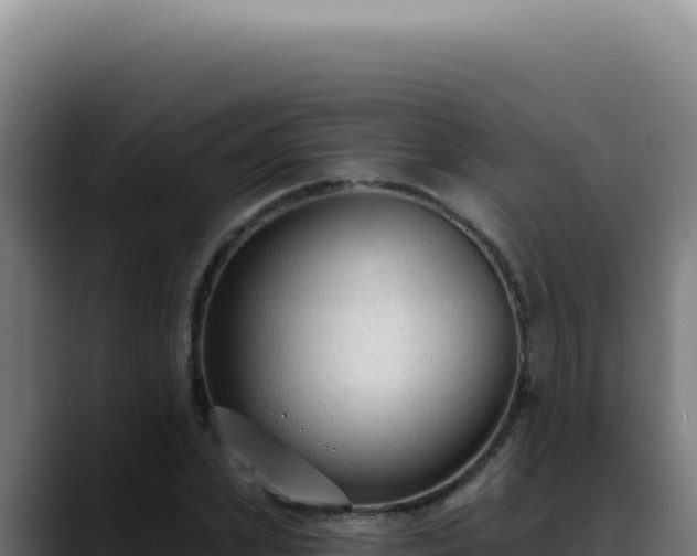 X0000088410831200705291447