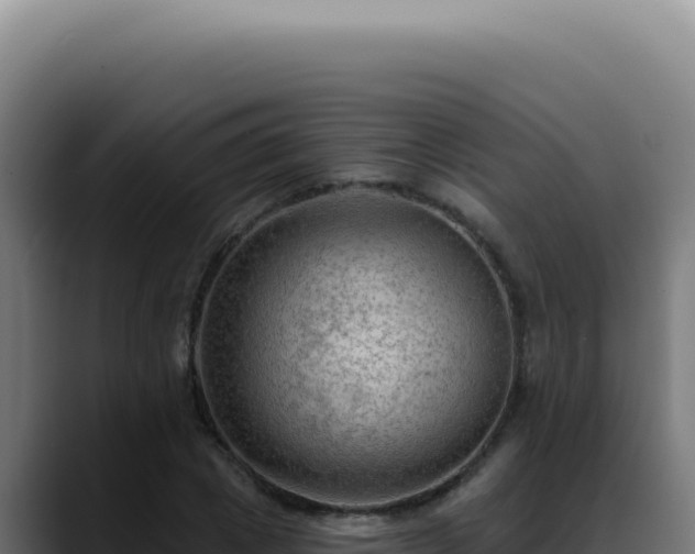 X0000088410833200705291447