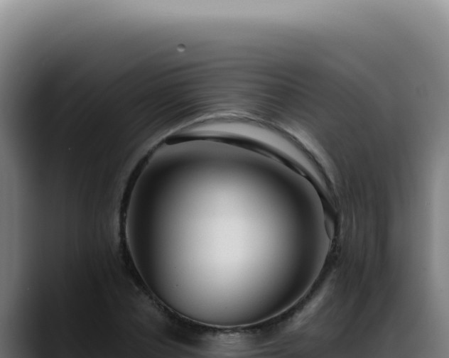 X0000088410834200705291447