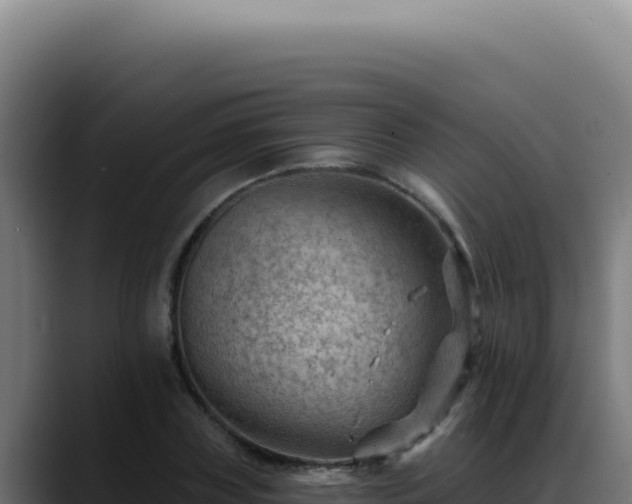 X0000088410835200705291447