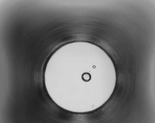 X0000088410836200705291447