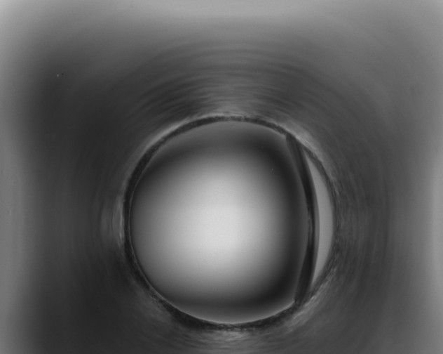 X0000088410838200705291447
