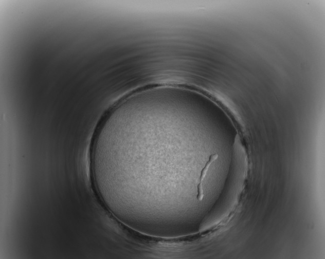 X0000088410840200705291447