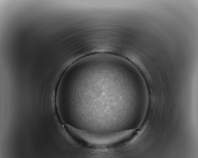 X0000088410842200705291447