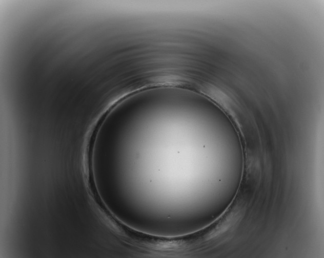 X0000088410843200705291447