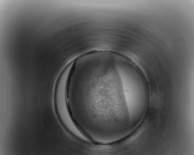 X0000088410845200705291447