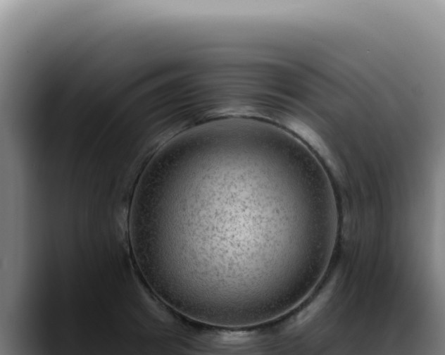 X0000088410849200705291448