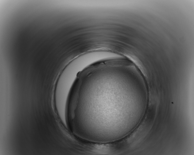 X0000088410850200705291448
