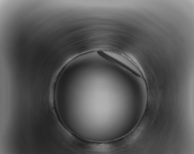 X0000088410851200705291448