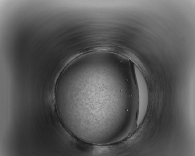 X0000088410852200705291448