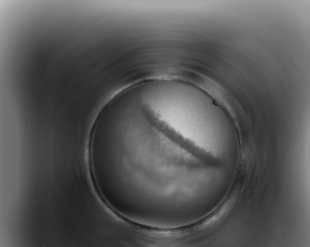 X0000088410855200705291448