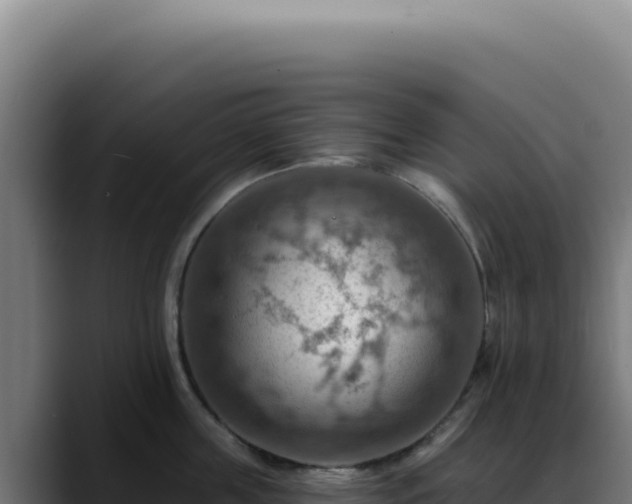 X0000088410859200705291448