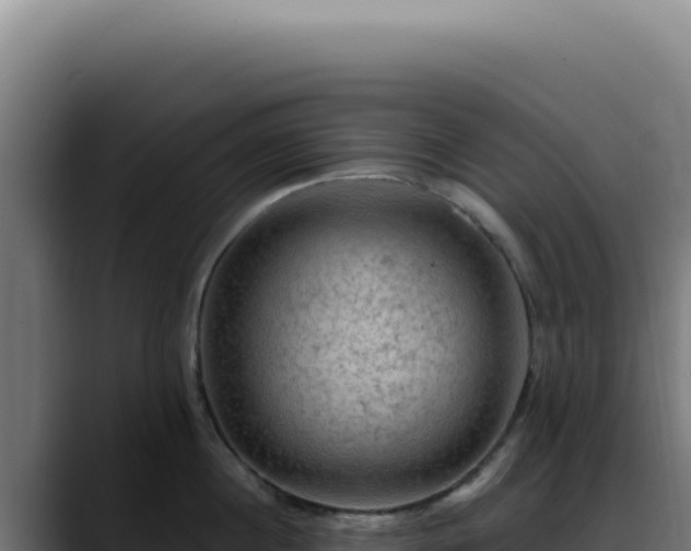 X0000088410860200705291448