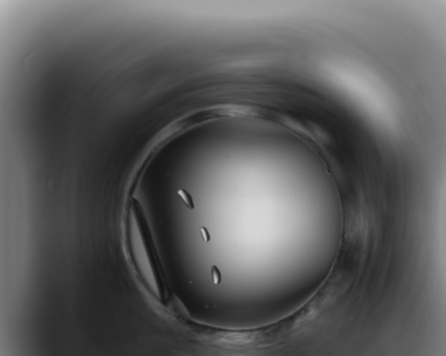 X0000088410861200705291448