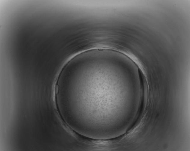 X0000088410862200705291448