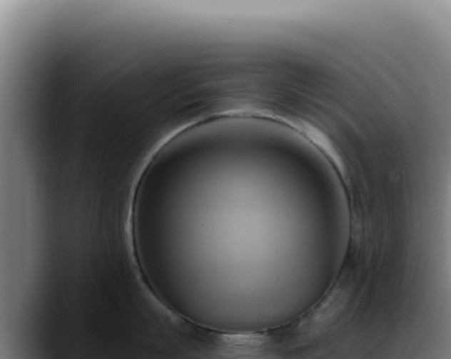 X0000088410863200705291448