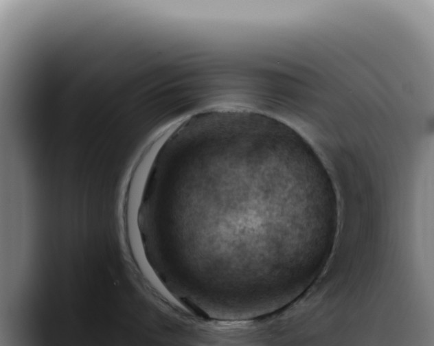 X0000088410864200705291448
