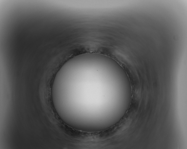 X0000088410865200705291447