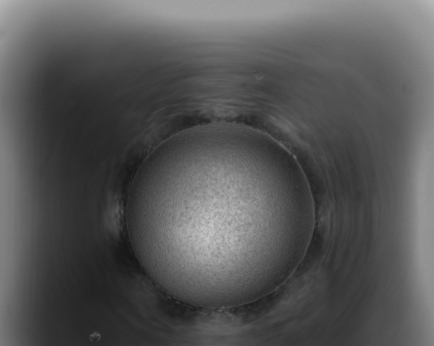X0000088410866200705291447