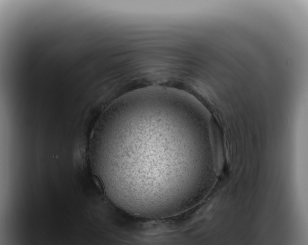 X0000088410867200705291447