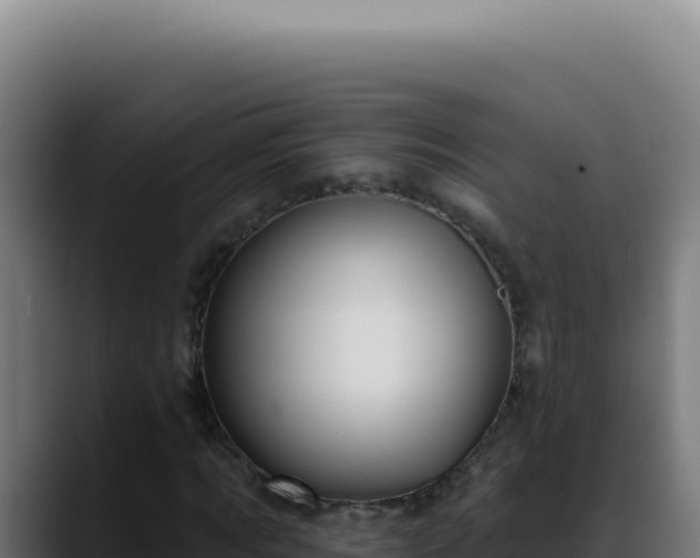 X0000088410869200705291447