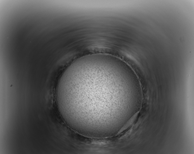 X0000088410870200705291447