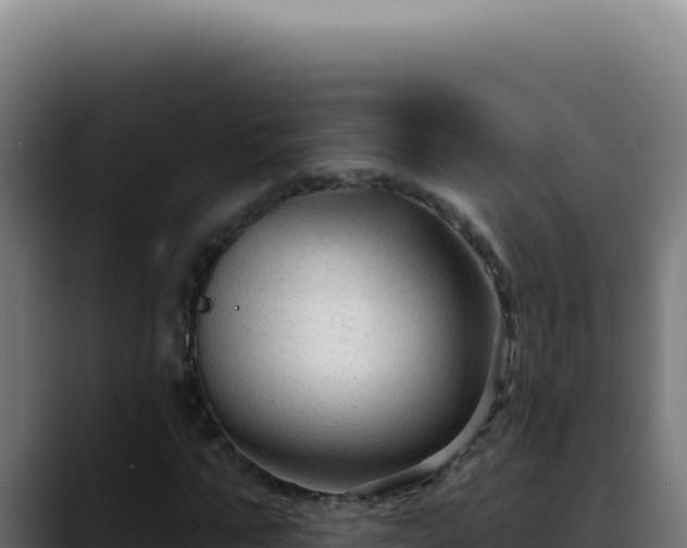 X0000088410871200705291447