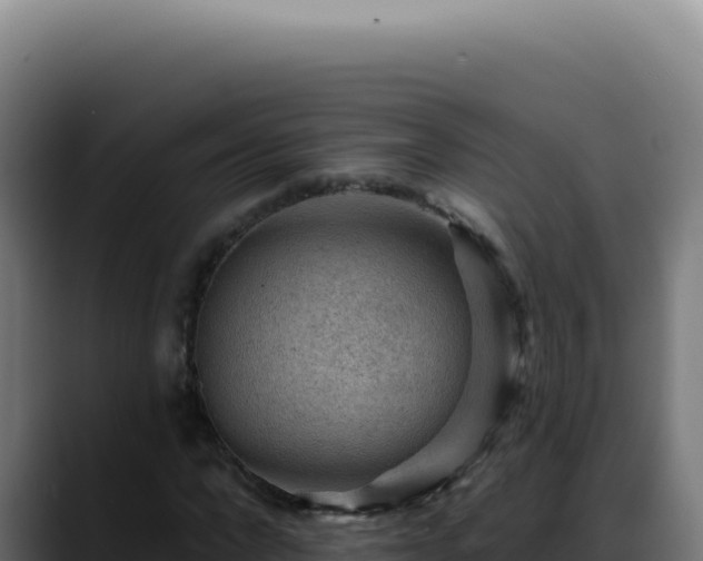 X0000088410872200705291447