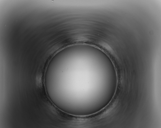 X0000088410873200705291447