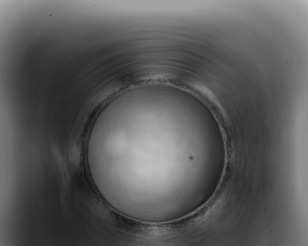 X0000088410874200705291447