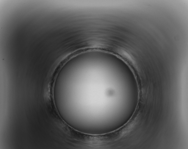 X0000088410875200705291447