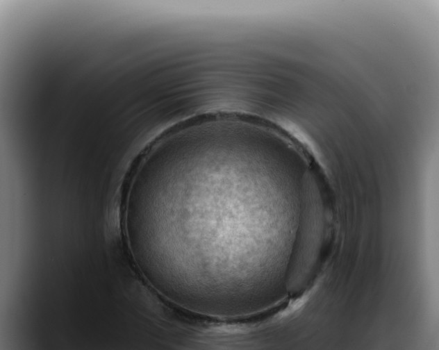 X0000088410877200705291447