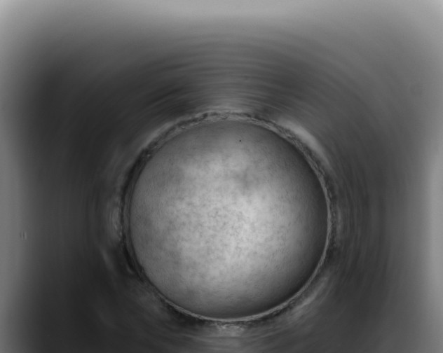 X0000088410878200705291447