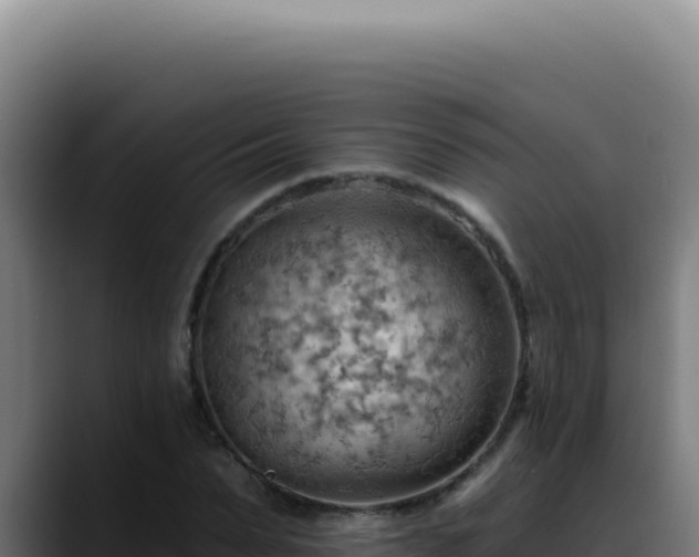 X0000088410879200705291447