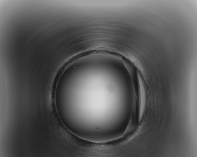 X0000088410880200705291447