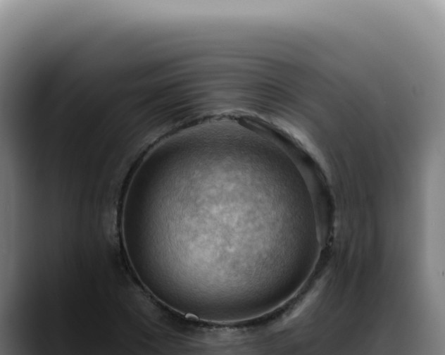 X0000088410881200705291447
